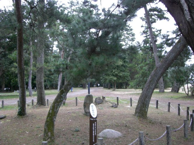 01御手植之松mid