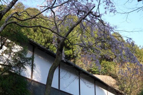  クリックで大きくなります