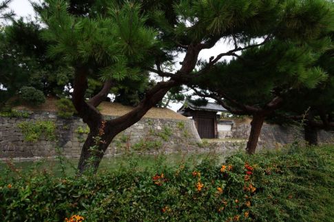  クリックで大きくなります