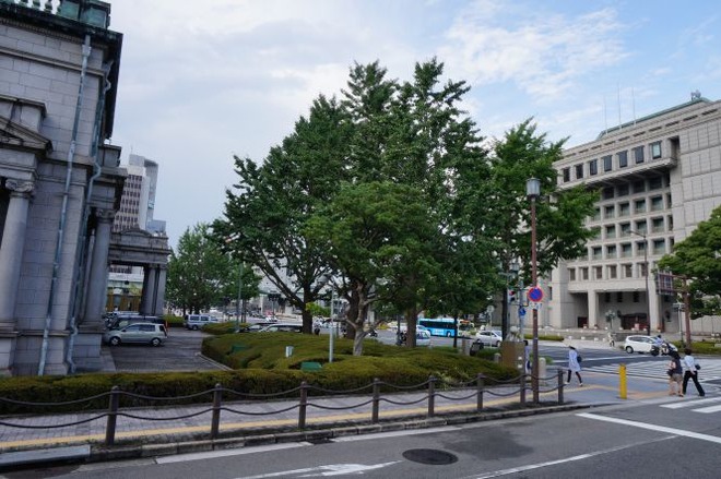 03御堂筋mid