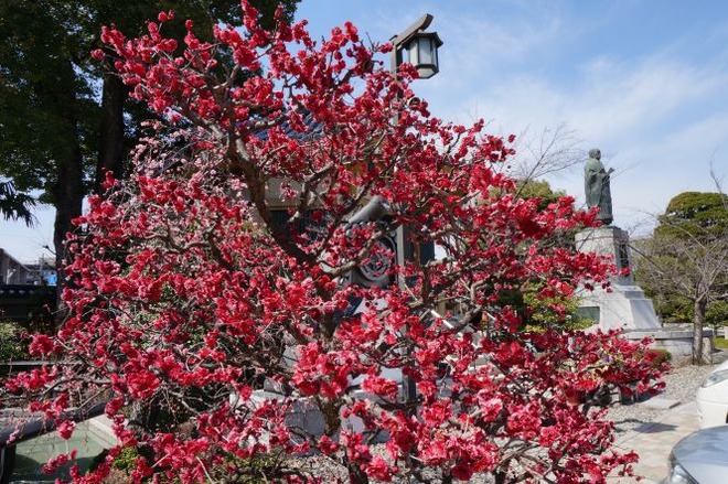 02日扇上人像mid