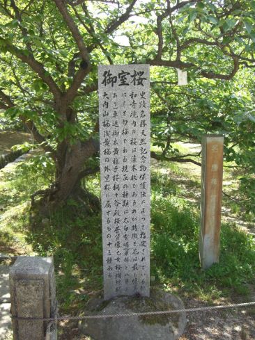 クリックで大きくなります