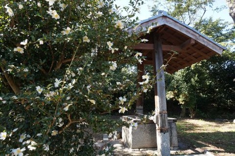 02縣井（２）min