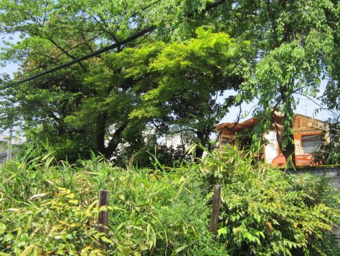  クリックで大きくなります