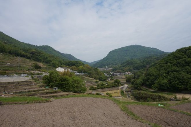 02千枚田（２）mid