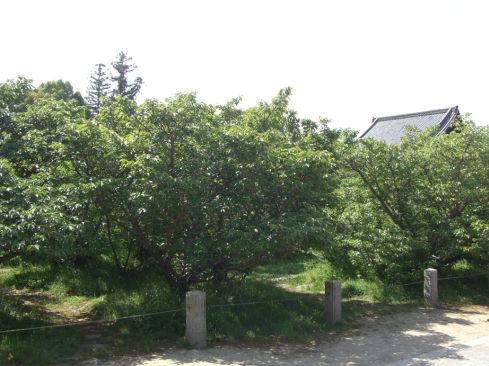  クリックで大きくなります