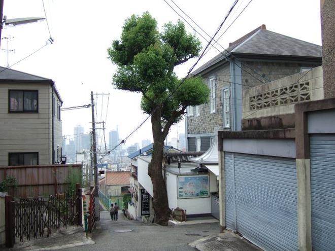 03中国領事館mid