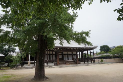  クリックで大きくなります