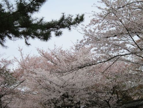  クリックで大きくなります