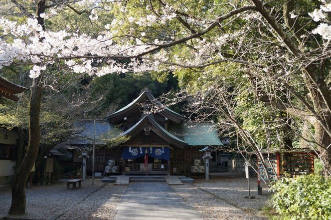 02八幡さんmid
