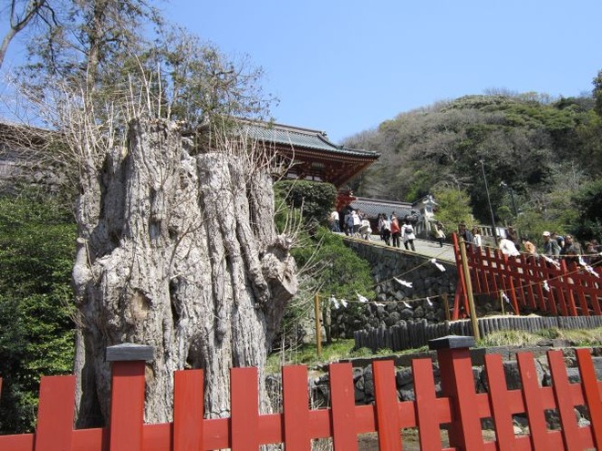 01鶴岡八幡宮mid