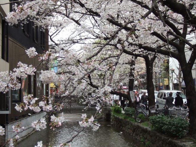 05十軒橋（１）mid
