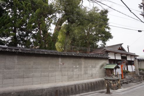  クリックで大きくなります