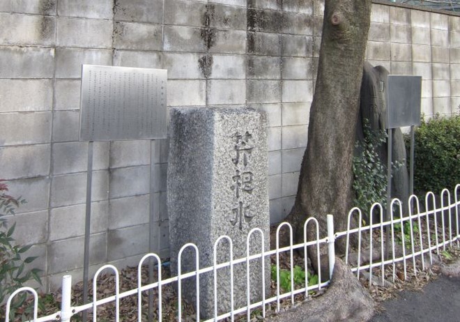 02芹根水（２）mid