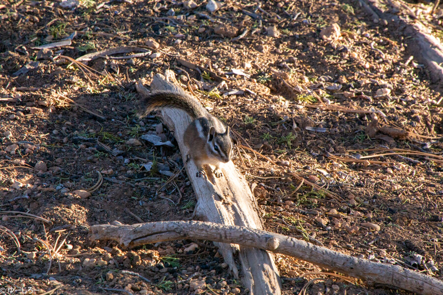 20171007-IMG_6673