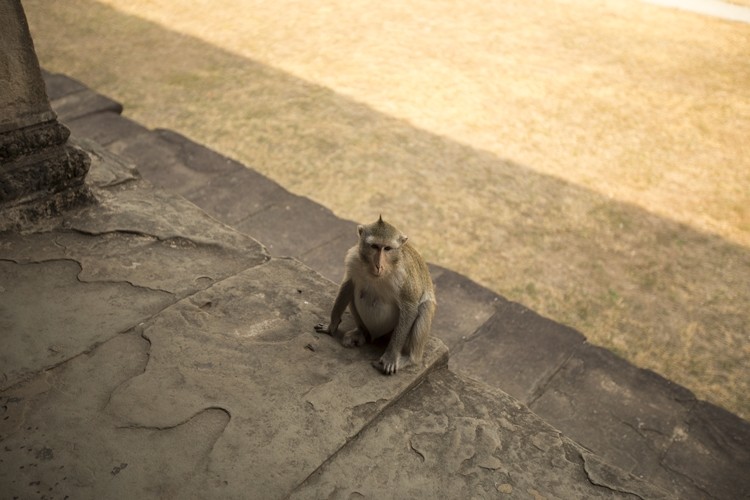 IMG_9945