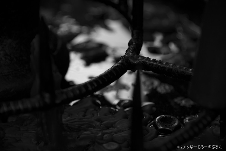 IMG_3764
