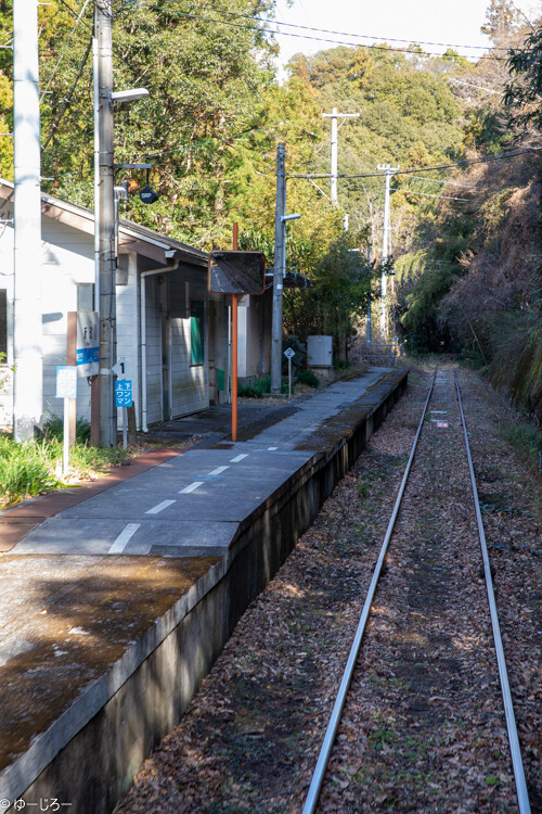 20180101-IMG_9877