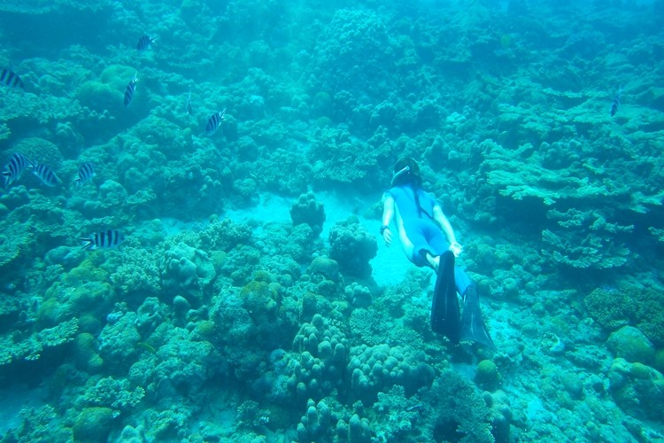 IMGP0427