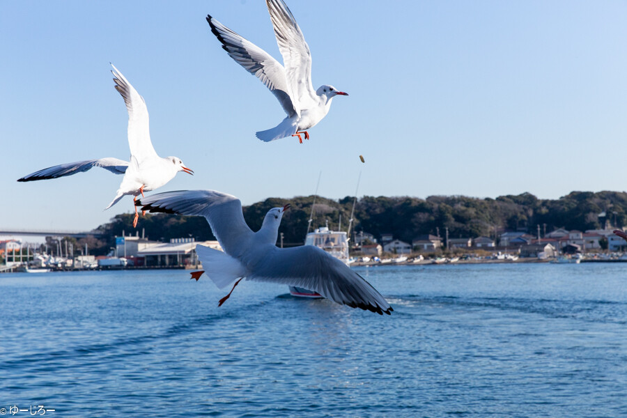 20180113-IMG_9575