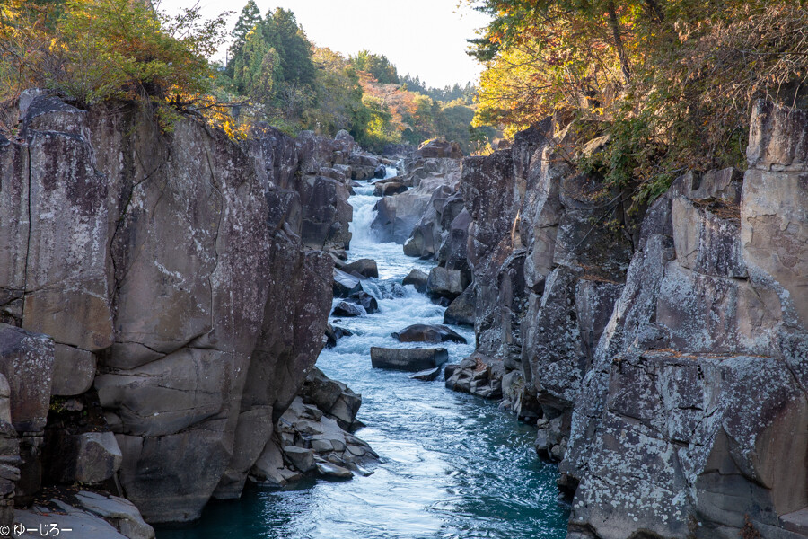 20181103-IMG_2220