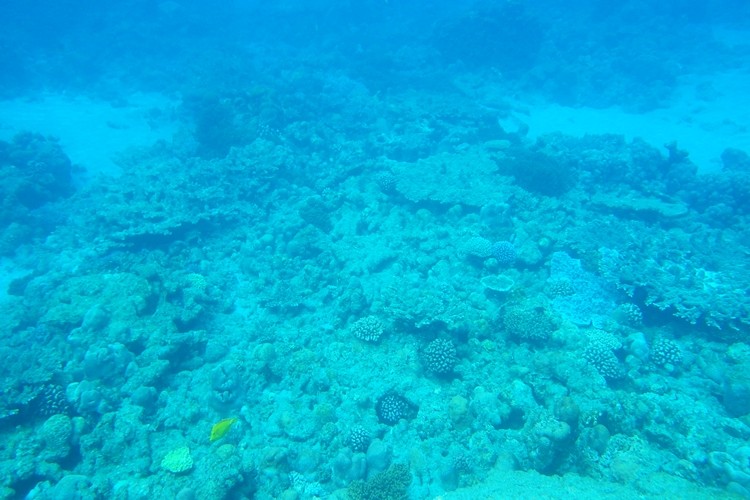 IMGP0390