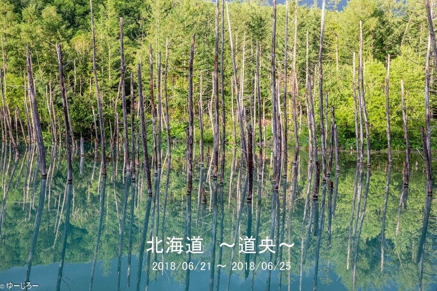 20180622-IMG_0867_02