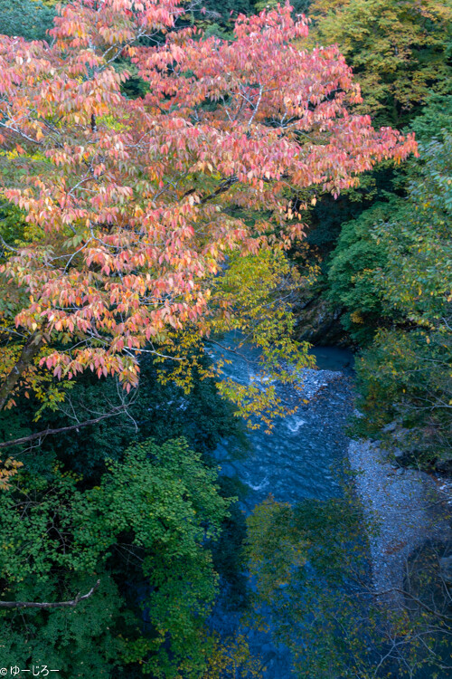 20171103-IMG_9404