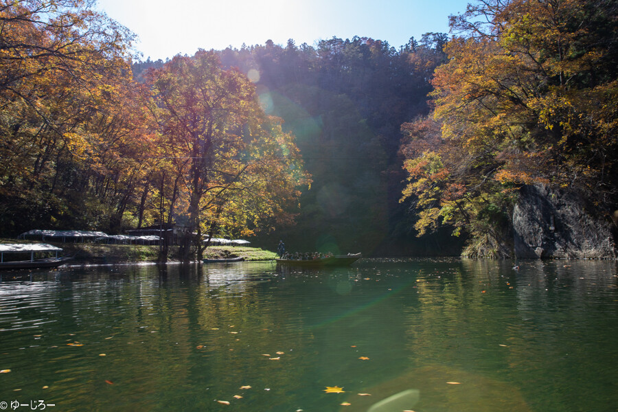 20181104-IMG_2244