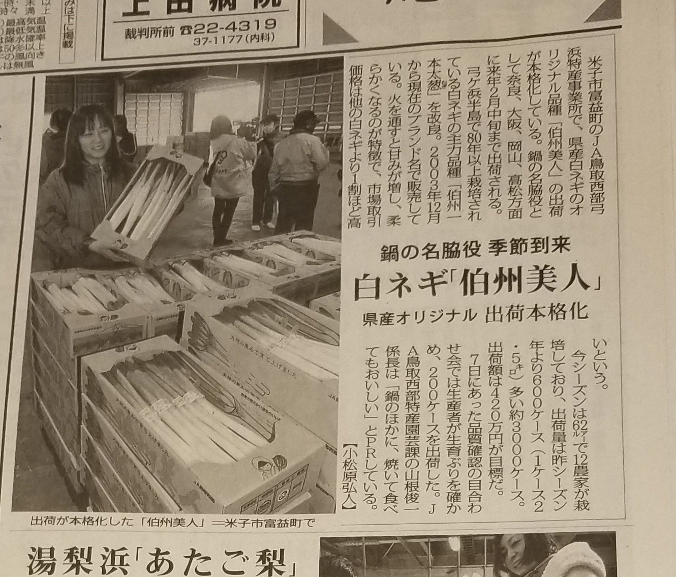 米子 境港は白ネギの栽培が盛んです 水木しげるロード 妖怪神社スタッフのブログ