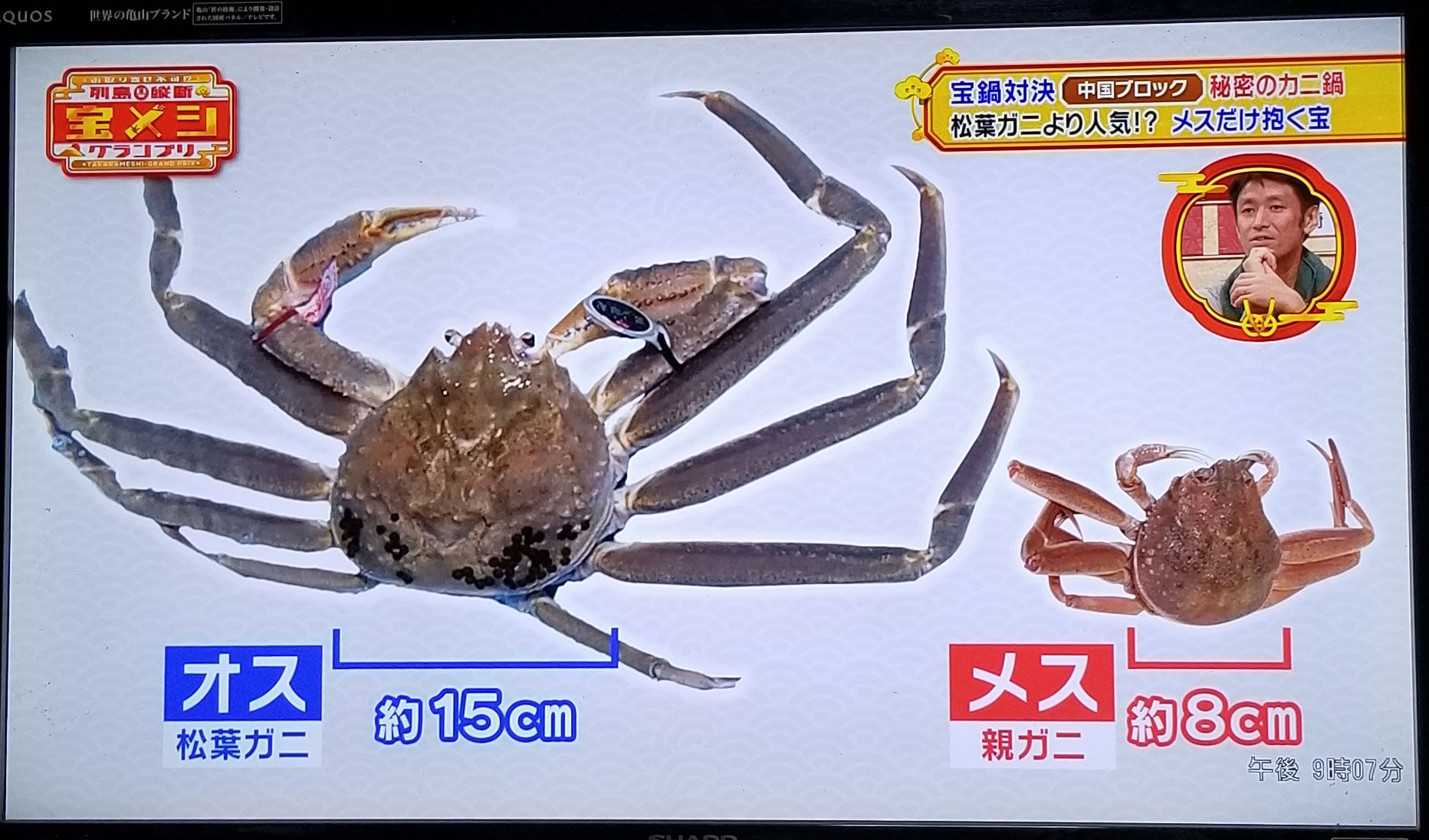 蟹取県2018】『200万円の松葉ガニ(五輝星)がギネス認定』 : 水木
