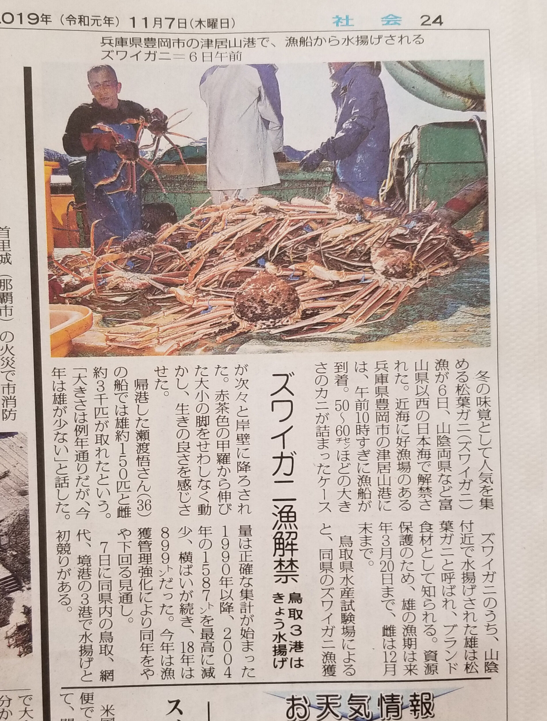 蟹取県境蟹港19 ズワイガニシーズン本殻始動 水木しげるロード 妖怪神社スタッフのブログ 蟹取県境蟹港19 ズワイガニシーズン本殻始動 水木しげるロード 妖怪神社スタッフのブログ