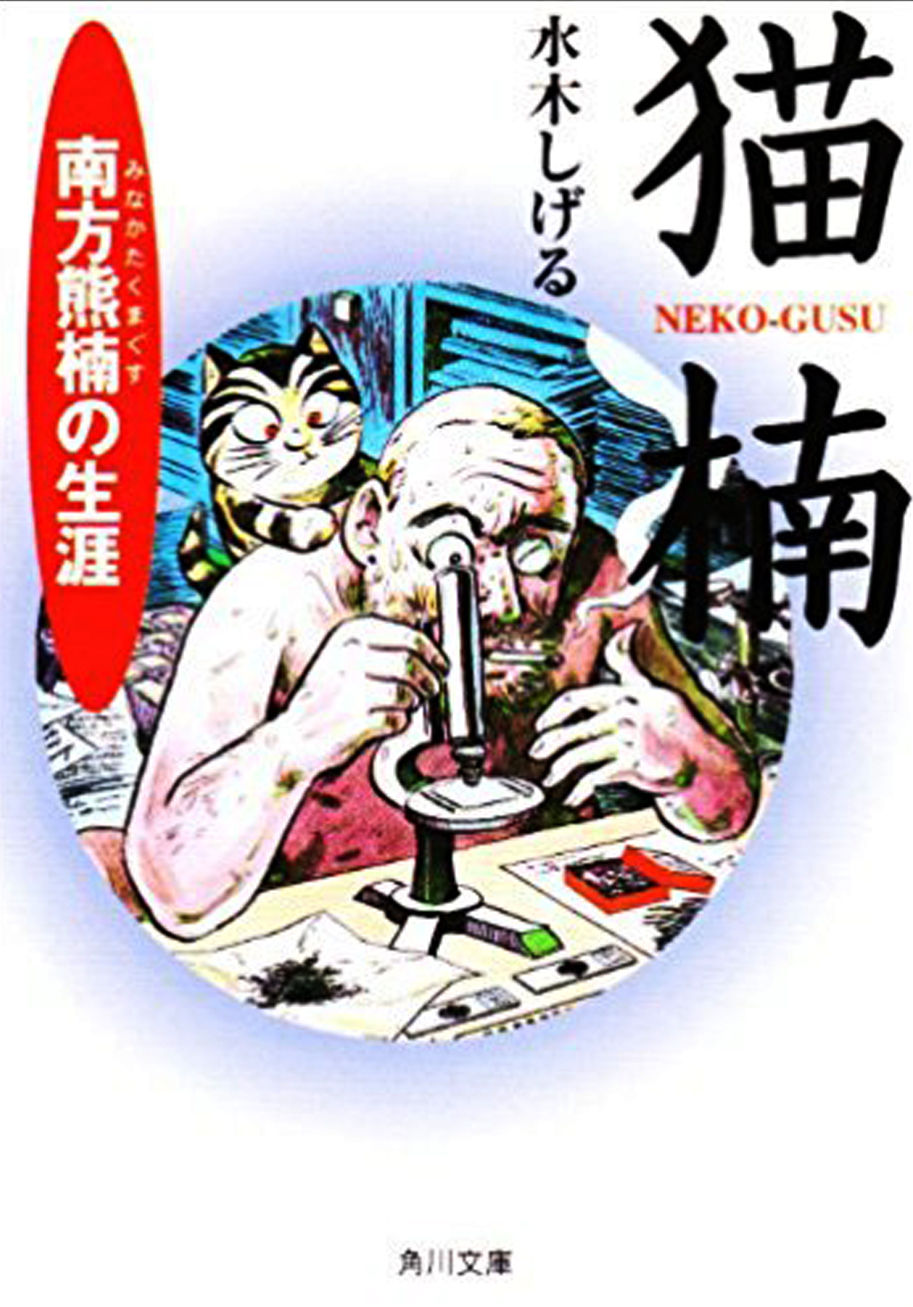 猫楠】福招貯金箱が発売にゃん！ : 水木しげるロード 妖怪神社スタッフ