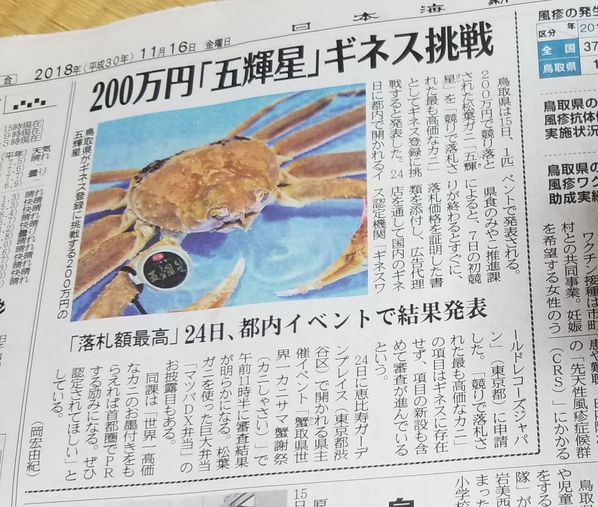 蟹取県2018】『200万円の松葉ガニ(五輝星)がギネス認定』 : 水木