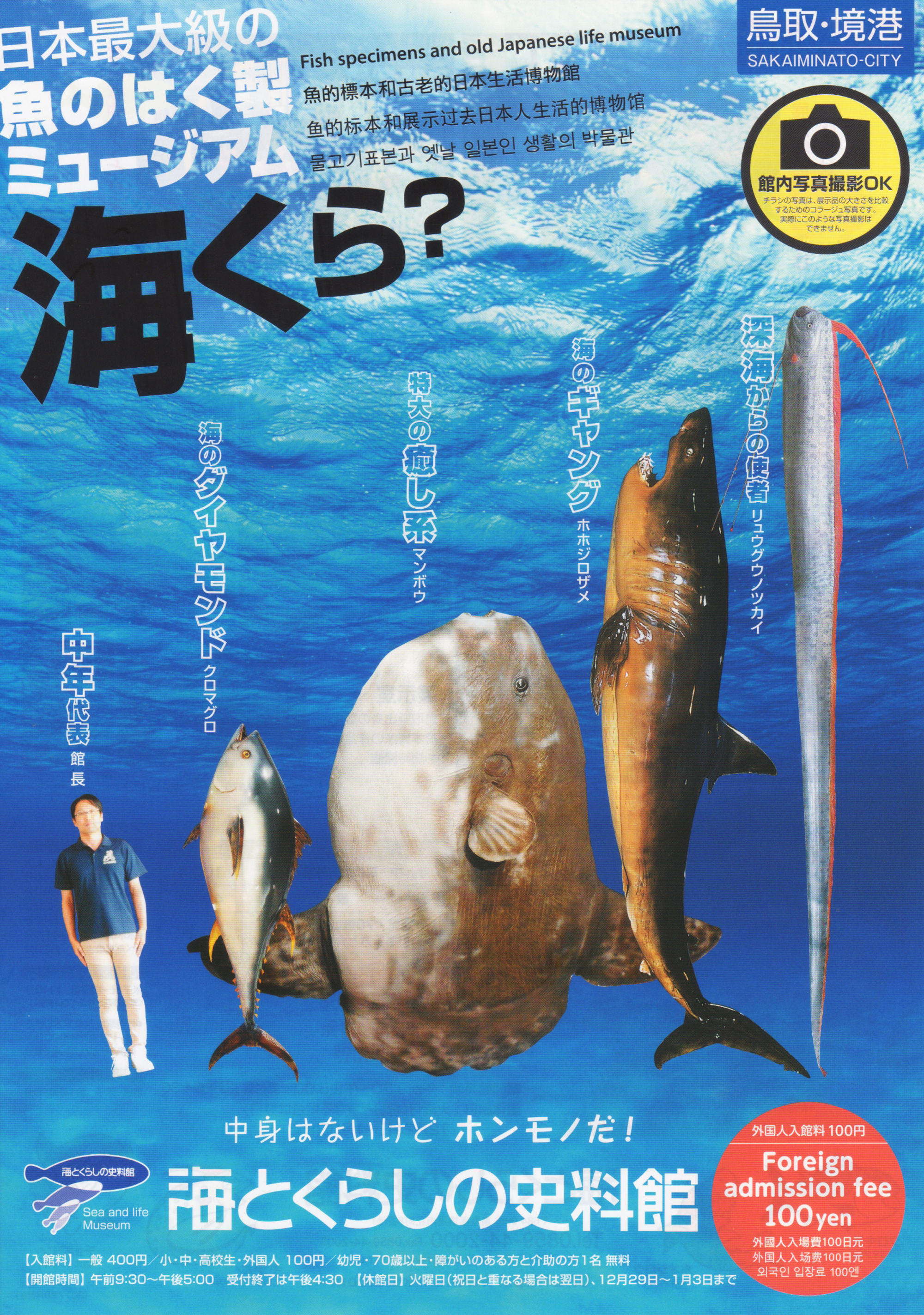サメ祭 海とくらしの史料館 9 2日まで開催中 水木しげるロード 妖怪神社スタッフのブログ
