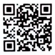 マイティードッグ006