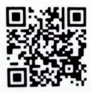 こんがらギャル005