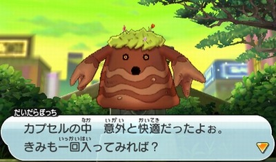daidara5