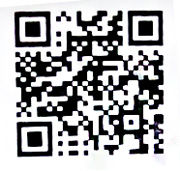 バスターズ月兎組 ぬらりひょん のqrコード 極玉 12個