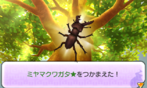 妖怪ウォッチ2 サブクエスト 対決 カブトvsクワガタ クワノ武士 武者かぶと入手 妖怪ウォッチ2 サブクエスト 対決 カブトvsクワガタ クワノ武士 武者かぶと入手
