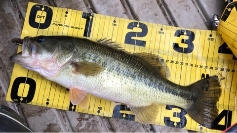 FullSizeRender