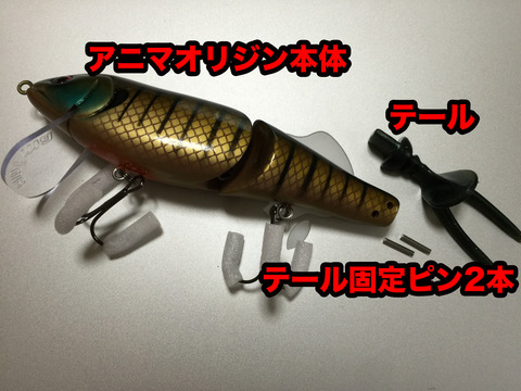 本体付属内容