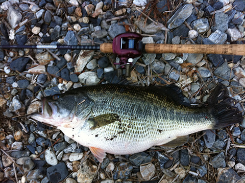 インプレ Daiwa ダイワ ハートランドz 671hrb T ハマスペシャル スーパーフィッシング グランダー結城 インプレ Daiwa ダイワ ハートランドz 671hrb T ハマスペシャル スーパーフィッシング グランダー結城