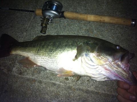 インプレ Daiwa ダイワ ハートランドz 671mlfb St スモールプラグスペシャル スーパーフィッシング グランダー結城