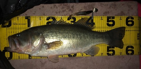 FullSizeRender