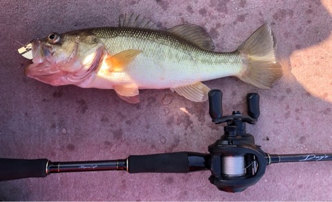 FullSizeRender
