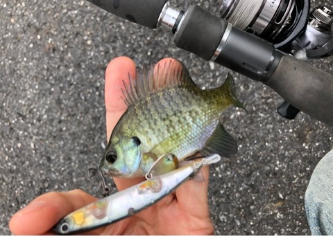 FullSizeRender