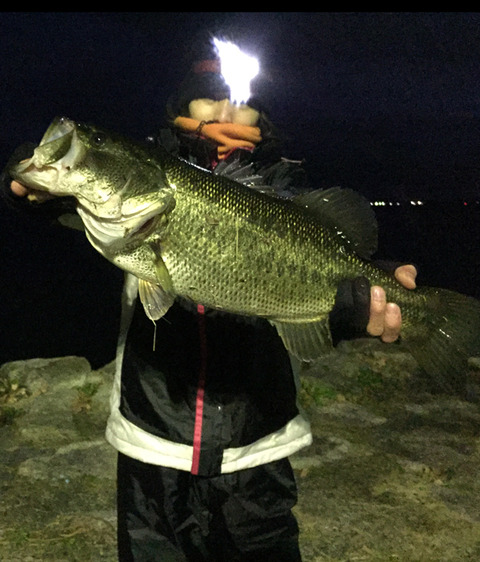 bass