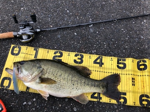 FullSizeRender