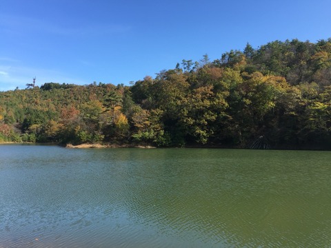 2015-11-12-10-42-51